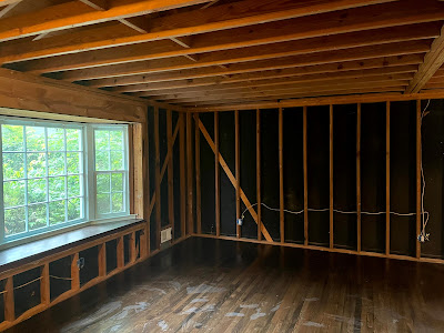Steps involved in a professional mold inspection