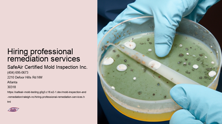 Hiring professional remediation services