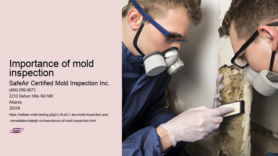 Importance of mold inspection