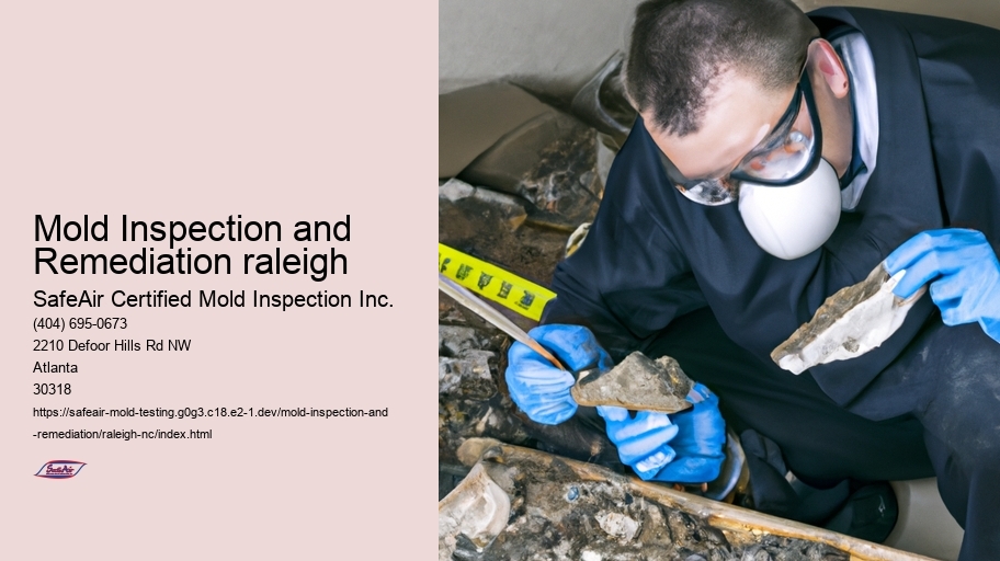 Mold Inspection and Remediation raleigh