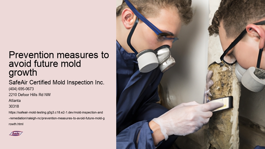 Prevention measures to avoid future mold growth