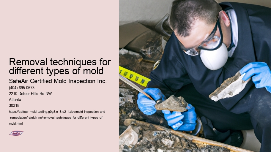Removal techniques for different types of mold