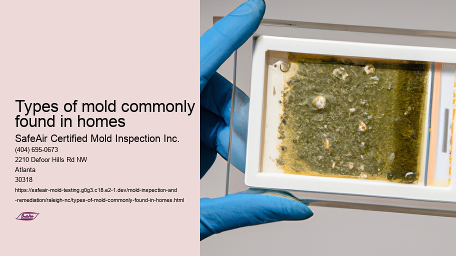 Types of mold commonly found in homes