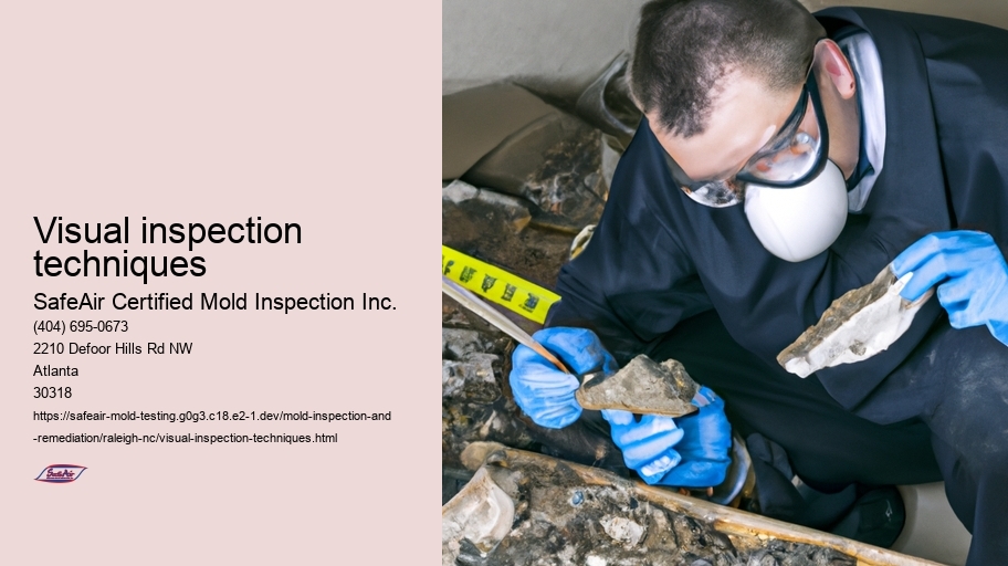 Visual inspection techniques
