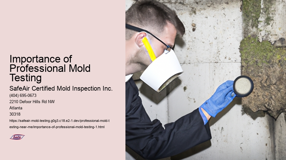 Importance of Professional Mold Testing