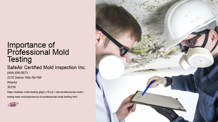 Importance of Professional Mold Testing