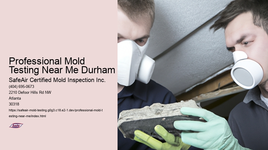 Professional Mold Testing Near Me Durham