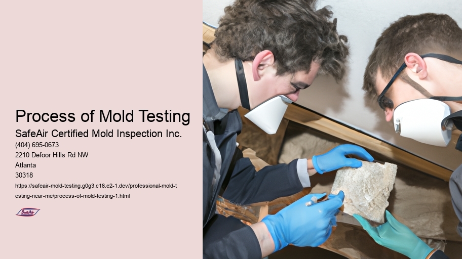 Process of Mold Testing