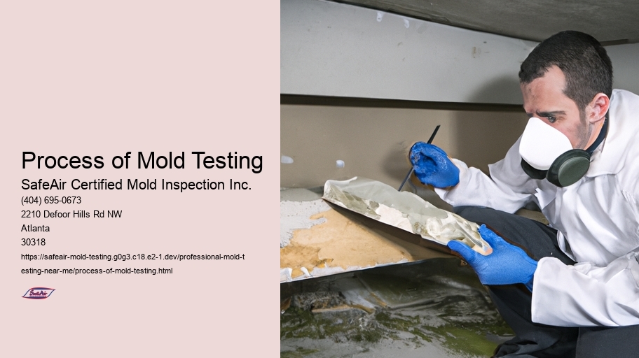 Process of Mold Testing