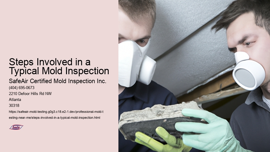 Steps Involved in a Typical Mold Inspection