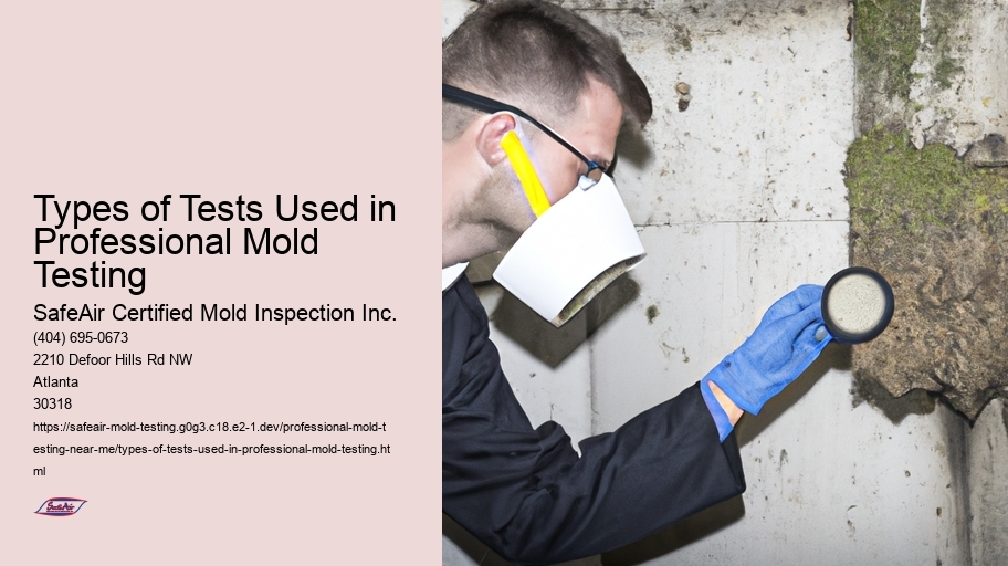 Types of Tests Used in Professional Mold Testing